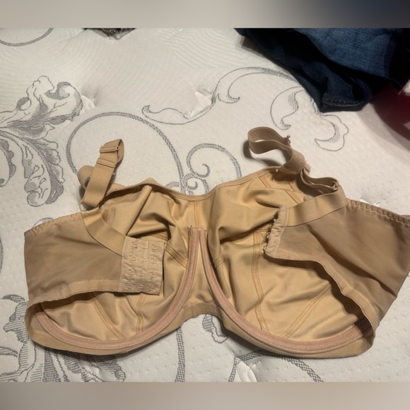 Elomi Energise - Picture 3 of 3